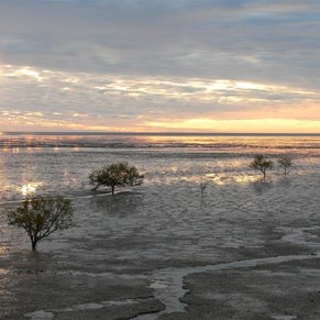 Gulf of Carpentaria sunset.