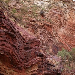 The twisted walls of Hamersley Gorge