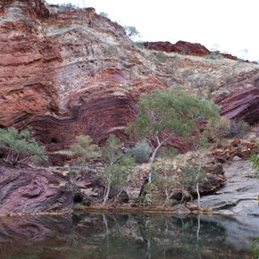 Hamersley Gorge