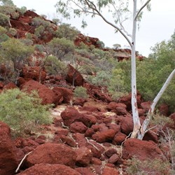 The congested southern end of Hamersley Gorge