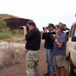 Naturalists Galore - Wittenoom Gorge