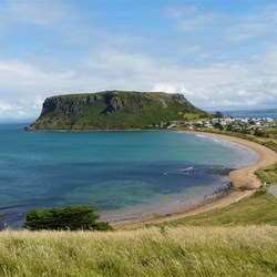 The Nut from Historic Highfield