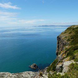 View of Port Latta from The Nut