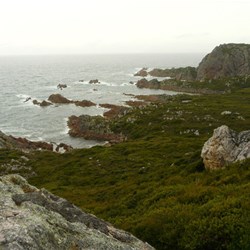 Rocky Cape NP