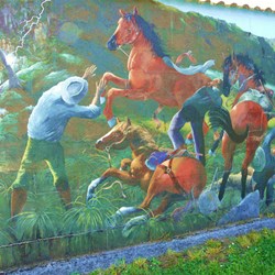 The town of Sheffield and its murals
