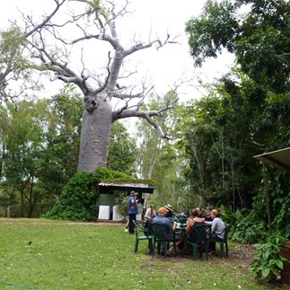Ahh how civilised - Afternoon tea on Ellinbraes lawns