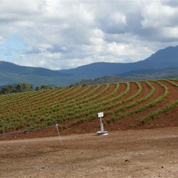 A pictureque setting