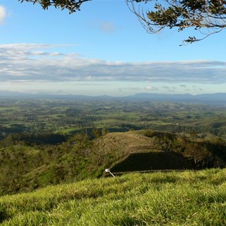 View from the lookout.