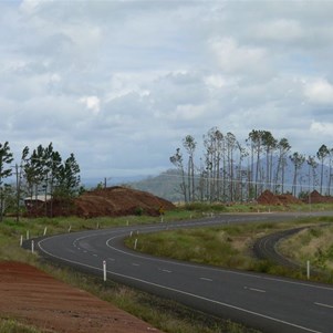 These huge piles of woodchips were once trees flattened by Cyclone Larry