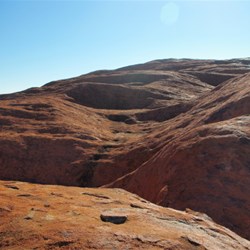 fluid sculptural curves on top