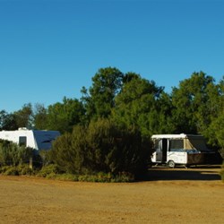 lovely campsites at Coward Springs