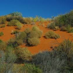 red sand hills....beautiful
