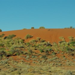 red sand hills north of William creek..taken from moving vehicle