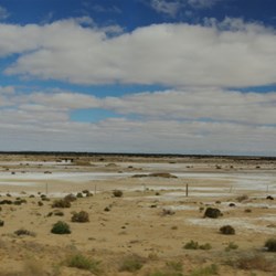 landscape between Marree and Coward Springs