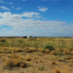 landscape between Marree and Coward Springs