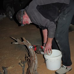 John prepares the mouse trap at William Creek