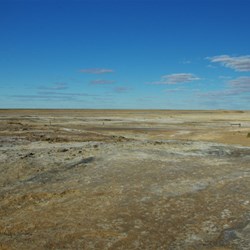landscape near mound bubbler springs