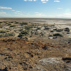 landscape near Blanche cup mound bubbler springs
