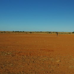 interesting cricket ground and pitch at farina