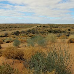 red sand dunes and vegetation - stunning