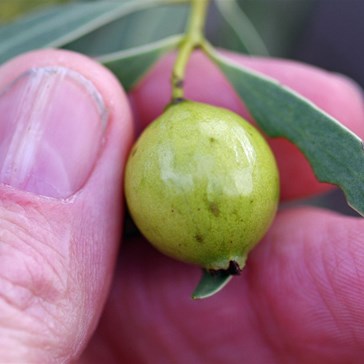 What a difference a month made