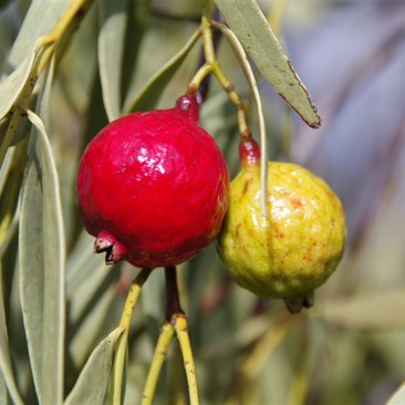 What a difference 4 kilometres has made