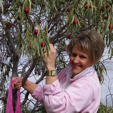 Fiona collecting some for cooking
