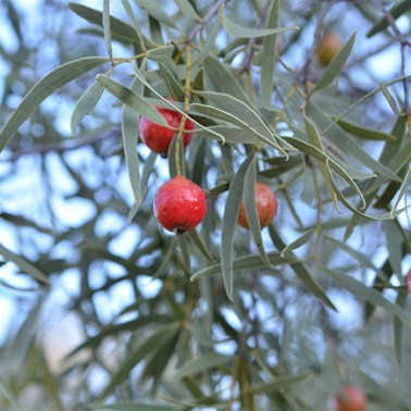 The colour is now very vissible from a distance