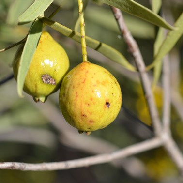 There are still many that still have a long way to go