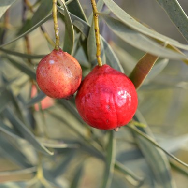 Another example of different growth rates