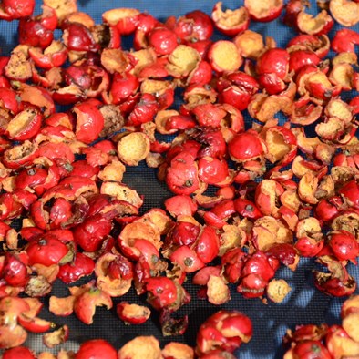 Sun Drying the Flesh