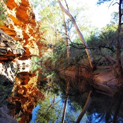reflections at Garden of Edem