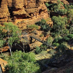 bridge near the Garden of Eden..dwarfed by nature