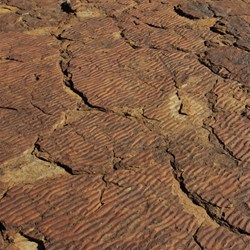 rippled rocks...weathered and worn
