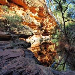 water and relflections at Garden of Eden