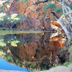 Ellery Creek Big Hole