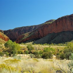 walking in Ormiston Pound