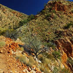 walk at Ormiston Pound