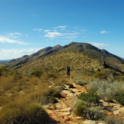 Mt Sonder summit walk