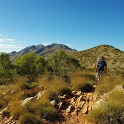 Mt Sonder summit walk