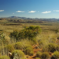 Mt Sonder summit walk