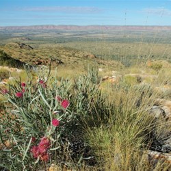 Mt Sonder summit walk