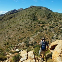 Mt Sonder summit walk