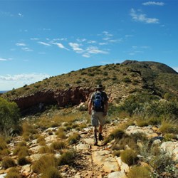 Mt Sonder summit walk
