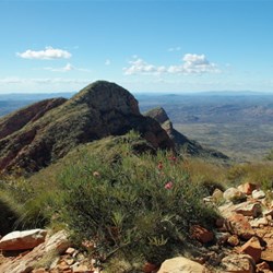 Mt Sonder summit walk