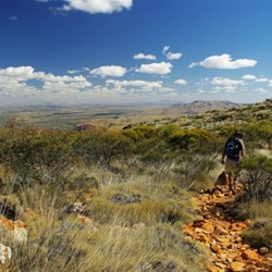 Mt Sonder summit walk