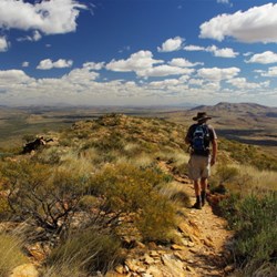 Mt Sonder summit walk