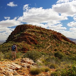 Mt Sonder summit walk