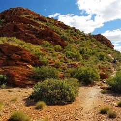 Mt Sonder summit walk