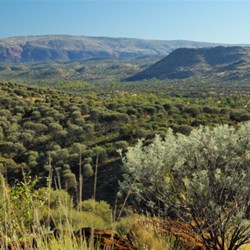 views from the loop walk to the lookout at Trephina